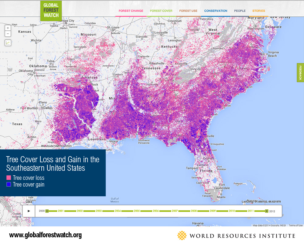 Tree Cover Loss and Gain in the Southeastern United States
